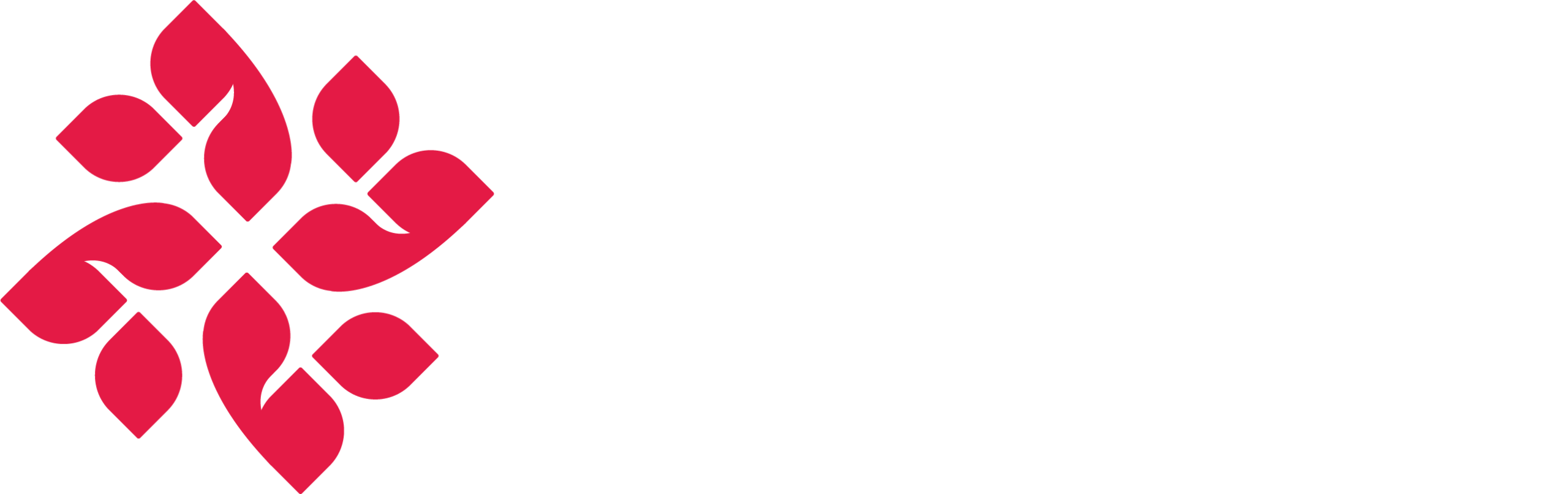 Logo Queennara Florist