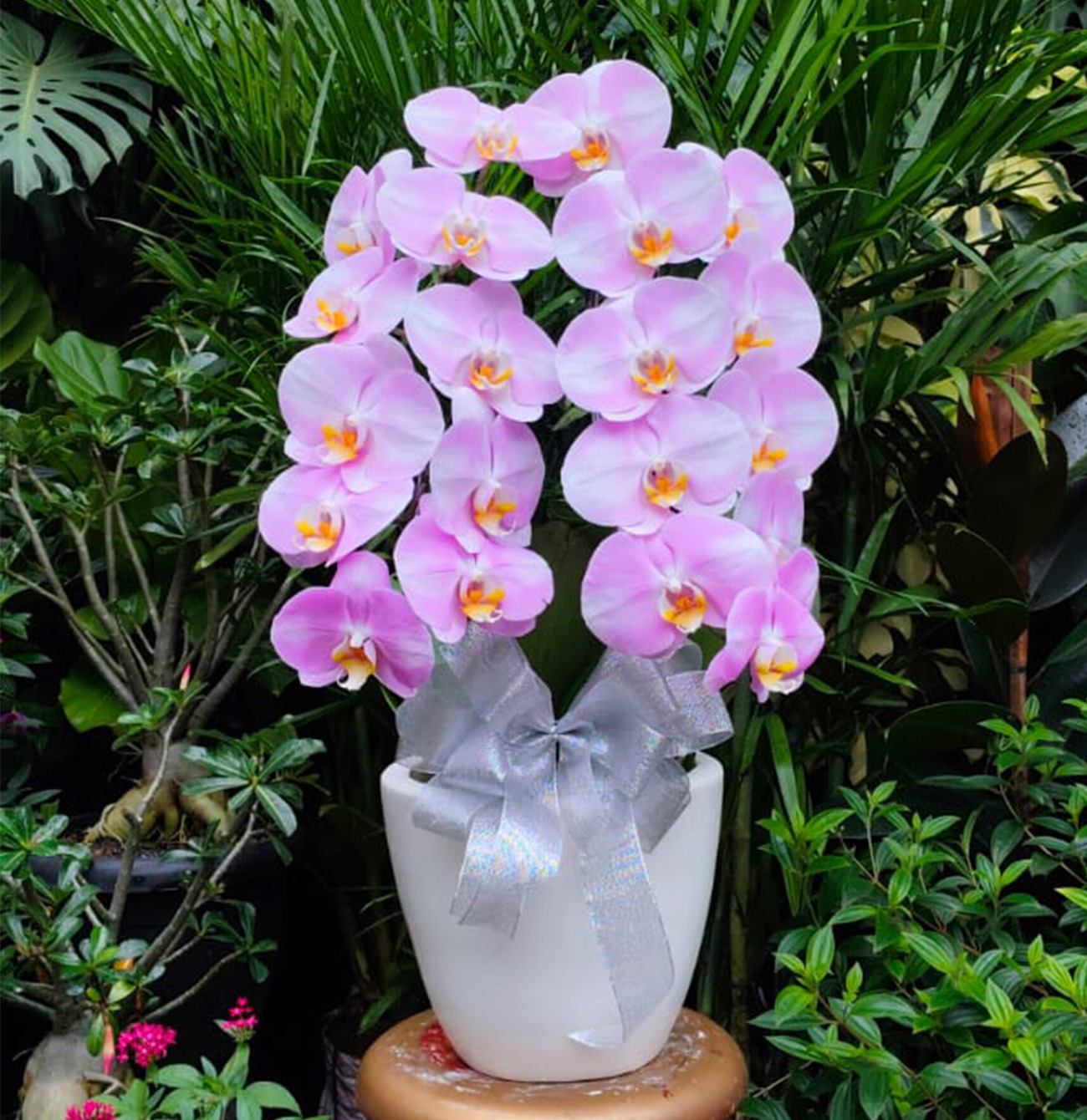 af9f32ed-01e0-4cbb-8673-e8727eacd54e - nanda febriani